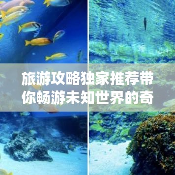 旅游攻略獨(dú)家推薦帶你暢游未知世界的奇妙之旅！