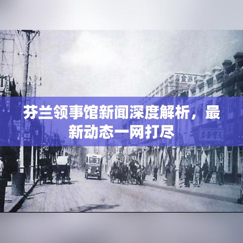 芬蘭領事館新聞深度解析，最新動態(tài)一網(wǎng)打盡