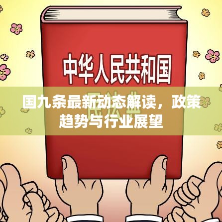 國九條最新動態(tài)解讀，政策趨勢與行業(yè)展望
