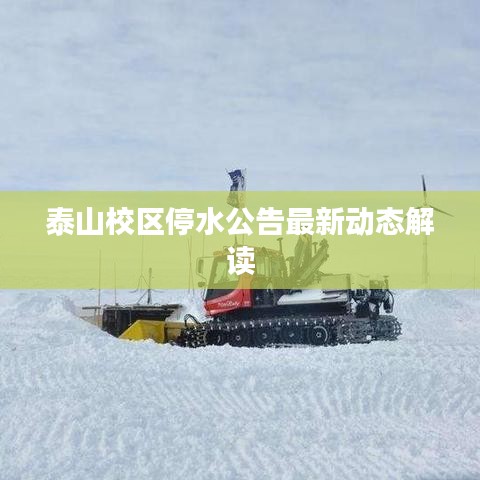 泰山校區(qū)停水公告最新動態(tài)解讀