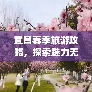 宜昌春季旅游攻略，探索魅力無限的旅游勝地