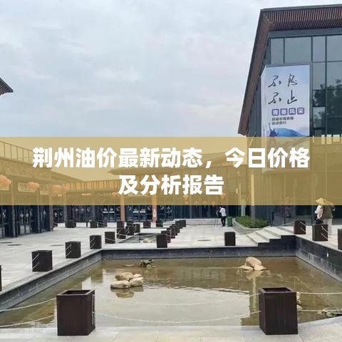 荊州油價最新動態(tài)，今日價格及分析報告