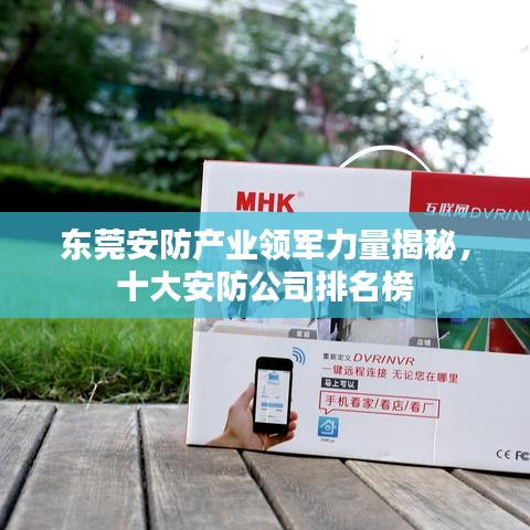 東莞安防產(chǎn)業(yè)領(lǐng)軍力量揭秘，十大安防公司排名榜