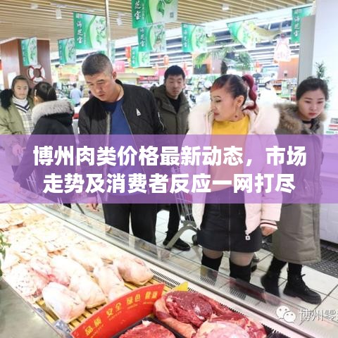 博州肉類價格最新動態(tài)，市場走勢及消費者反應一網(wǎng)打盡