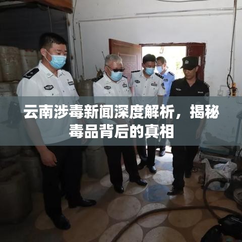 云南涉毒新聞深度解析，揭秘毒品背后的真相