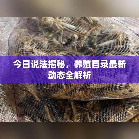 今日說(shuō)法揭秘，養(yǎng)殖目錄最新動(dòng)態(tài)全解析