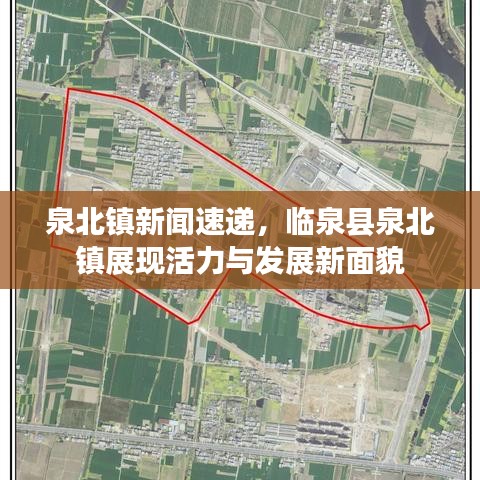 泉北鎮(zhèn)新聞速遞，臨泉縣泉北鎮(zhèn)展現(xiàn)活力與發(fā)展新面貌