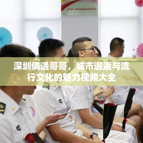 深圳偶遇哥哥，城市邂逅與流行文化的魅力視頻大全