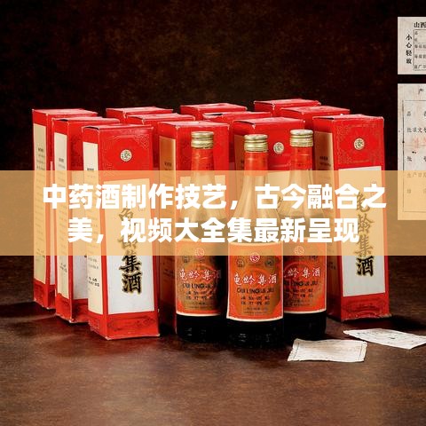 中藥酒制作技藝，古今融合之美，視頻大全集最新呈現(xiàn)