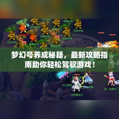 夢幻號養(yǎng)成秘籍，最新攻略指南助你輕松駕馭游戲！