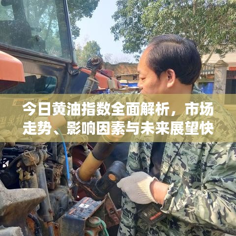 今日黃油指數(shù)全面解析，市場走勢(shì)、影響因素與未來展望快速查詢