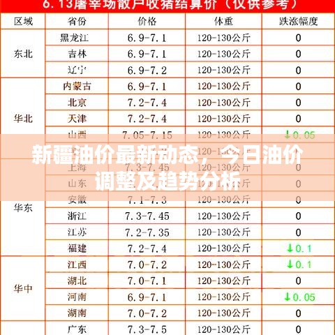 新疆油價(jià)最新動(dòng)態(tài)，今日油價(jià)調(diào)整及趨勢(shì)分析