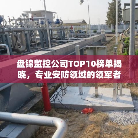 盤錦監(jiān)控公司TOP10榜單揭曉，專業(yè)安防領(lǐng)域的領(lǐng)軍者