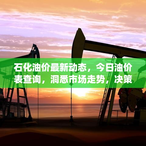 石化油價最新動態(tài)，今日油價表查詢，洞悉市場走勢，決策必備參考