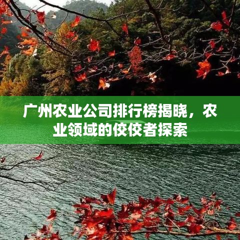 廣州農(nóng)業(yè)公司排行榜揭曉，農(nóng)業(yè)領(lǐng)域的佼佼者探索