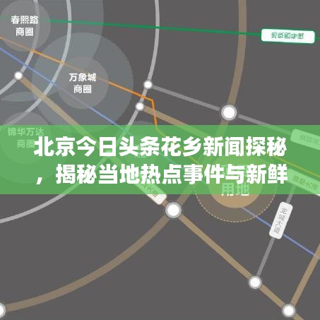 北京今日頭條花鄉(xiāng)新聞探秘，揭秘當(dāng)?shù)責(zé)狳c(diǎn)事件與新鮮資訊！