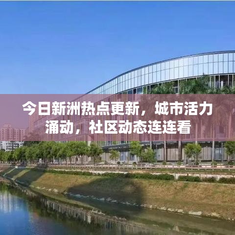 今日新洲熱點(diǎn)更新，城市活力涌動，社區(qū)動態(tài)連連看