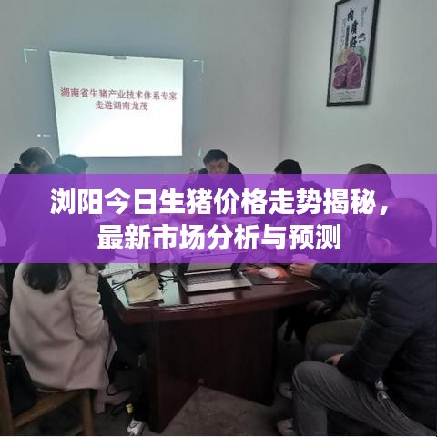 瀏陽今日生豬價格走勢揭秘，最新市場分析與預(yù)測