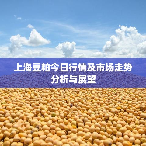 上海豆粕今日行情及市場走勢分析與展望