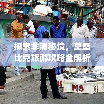 探索非洲秘境，莫桑比克旅游攻略全解析