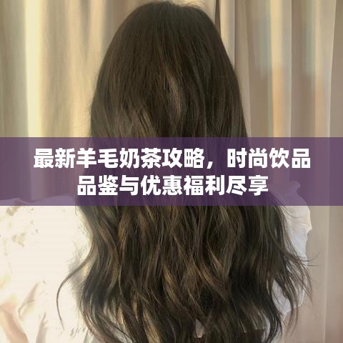 最新羊毛奶茶攻略，時尚飲品品鑒與優(yōu)惠福利盡享