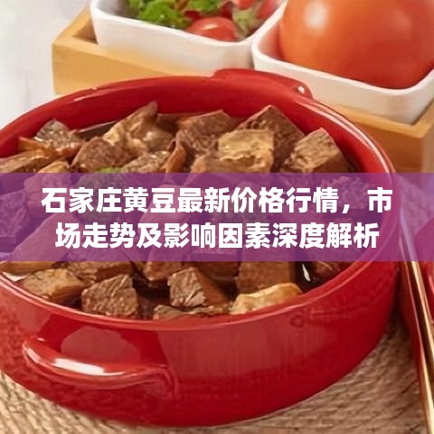 石家莊黃豆最新價(jià)格行情，市場(chǎng)走勢(shì)及影響因素深度解析