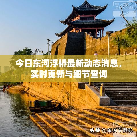 今日東河浮橋最新動態(tài)消息，實時更新與細節(jié)查詢