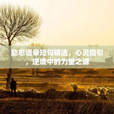 勵志語錄短句精選，心靈指引，逆境中的力量之源