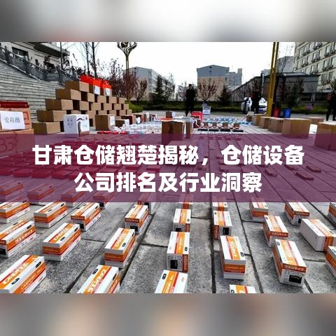 甘肅倉(cāng)儲(chǔ)翹楚揭秘，倉(cāng)儲(chǔ)設(shè)備公司排名及行業(yè)洞察