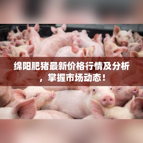 綿陽肥豬最新價格行情及分析，掌握市場動態(tài)！