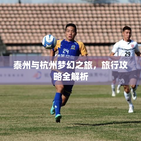 泰州與杭州夢幻之旅，旅行攻略全解析
