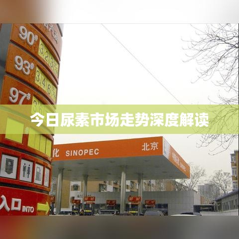 今日尿素市場走勢深度解讀