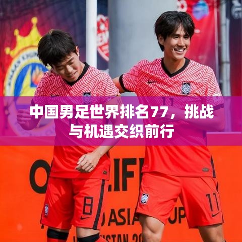 中國(guó)男足世界排名77，挑戰(zhàn)與機(jī)遇交織前行