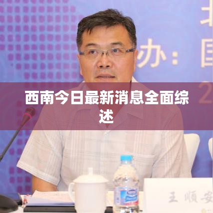 西南今日最新消息全面綜述