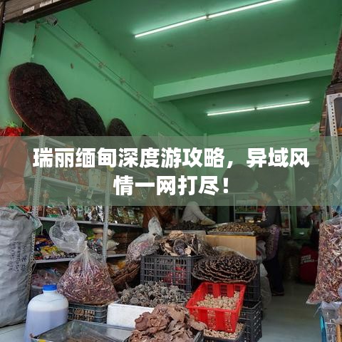 瑞麗緬甸深度游攻略，異域風(fēng)情一網(wǎng)打盡！