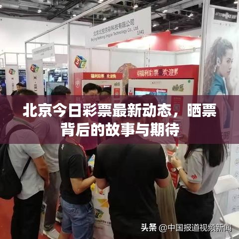 北京今日彩票最新動(dòng)態(tài)，曬票背后的故事與期待