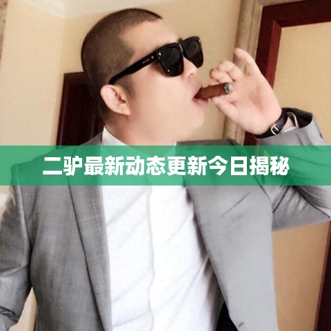 二驢最新動(dòng)態(tài)更新今日揭秘