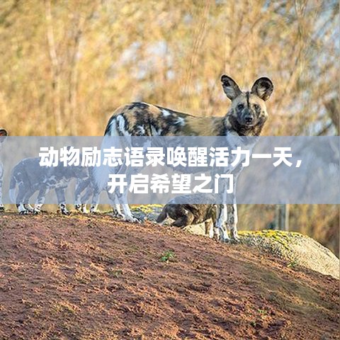 動(dòng)物勵(lì)志語(yǔ)錄喚醒活力一天，開(kāi)啟希望之門(mén)