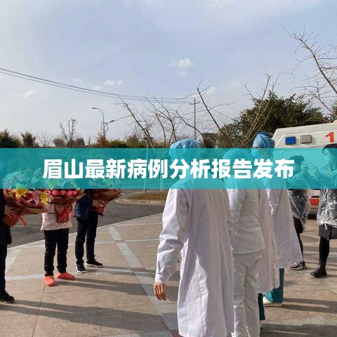 眉山最新病例分析報告發(fā)布