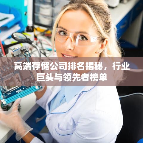 高端存儲公司排名揭秘，行業(yè)巨頭與領(lǐng)先者榜單