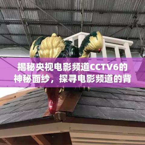 揭秘央視電影頻道CCTV6的神秘面紗，探尋電影頻道的背后故事