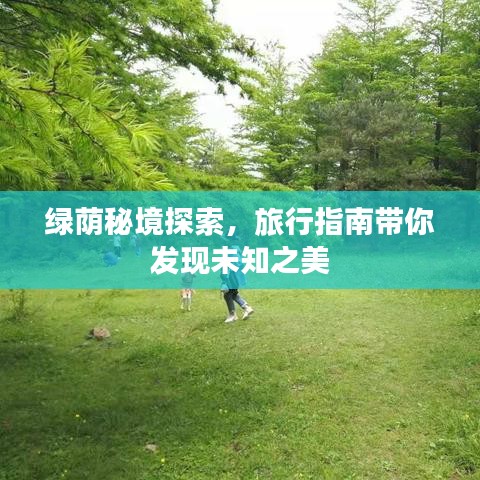 綠蔭秘境探索，旅行指南帶你發(fā)現未知之美