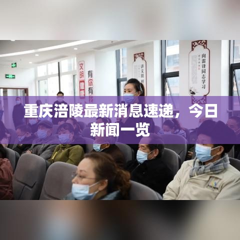 重慶涪陵最新消息速遞，今日新聞一覽