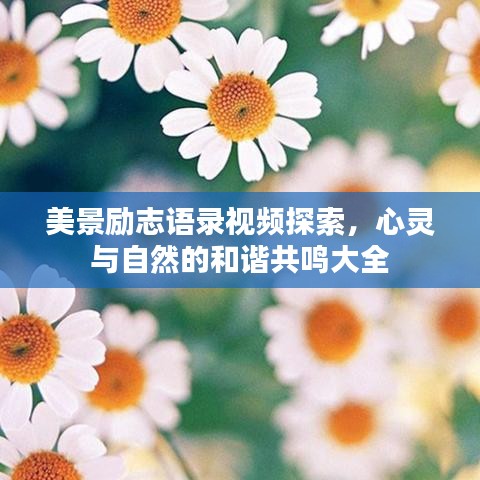 美景勵(lì)志語錄視頻探索，心靈與自然的和諧共鳴大全