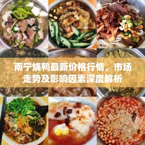 南寧燒鴨最新價(jià)格行情，市場(chǎng)走勢(shì)及影響因素深度解析