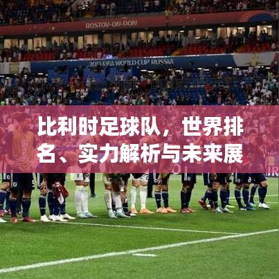 比利時(shí)足球隊(duì)，世界排名、實(shí)力解析與未來(lái)展望探究