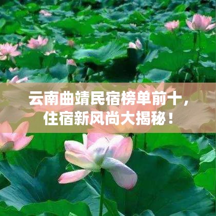云南曲靖民宿榜單前十，住宿新風(fēng)尚大揭秘！