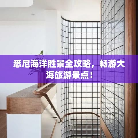 悉尼海洋勝景全攻略，暢游大海旅游景點！