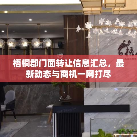 梧桐郡門面轉讓信息匯總，最新動態(tài)與商機一網(wǎng)打盡