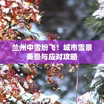 蘭州中雪紛飛！城市雪景美景與應對攻略